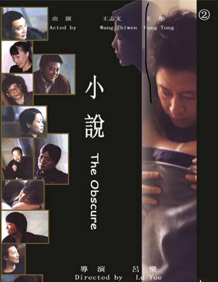 小说/诗意的年代